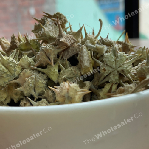 جوكرو شوتا - جوكشورا - بذور تريبولوس تيريستريس - كالتروبس الصغيرة