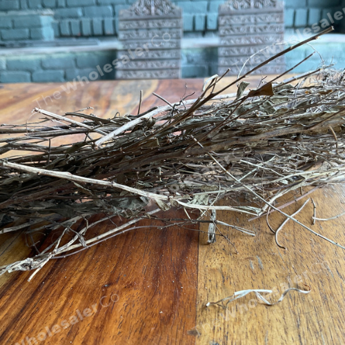 بهومي أملا - بهومي أملا - بهومي أولا - فيلانثوس نيروري