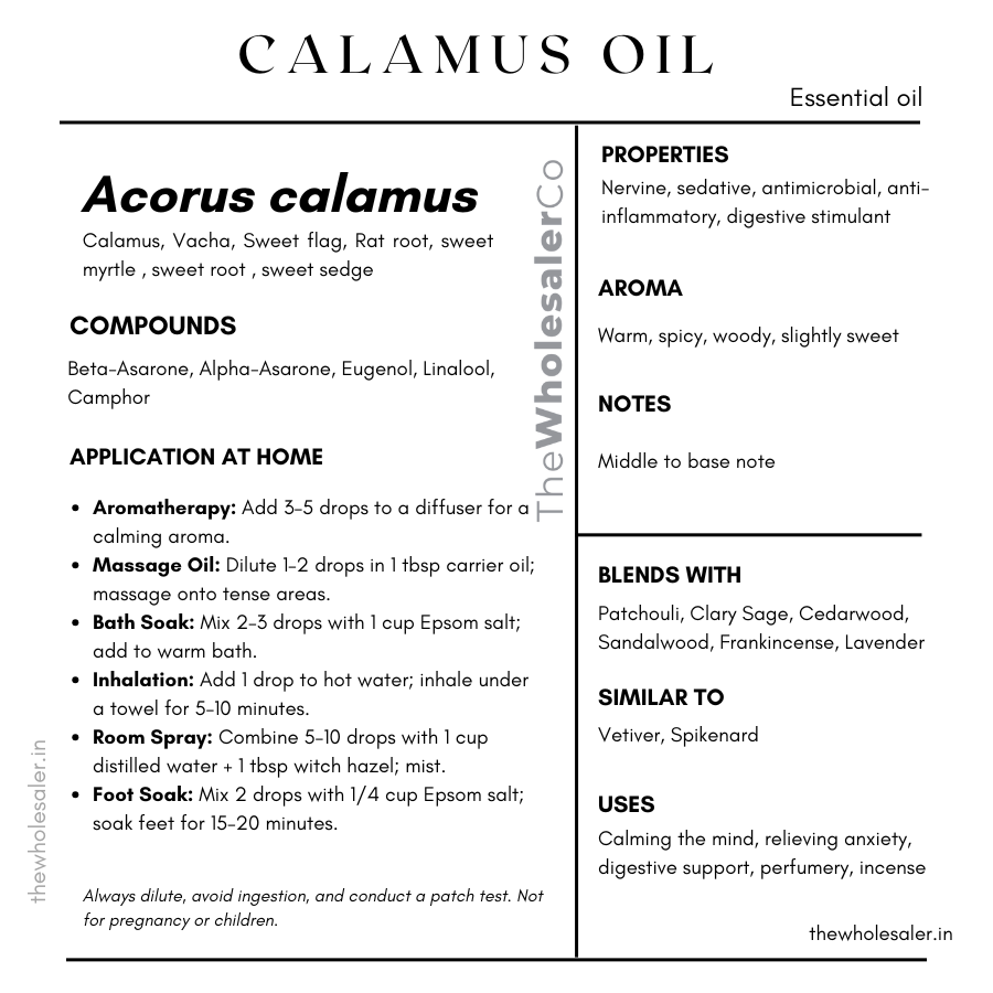 Calamus Oil essential oil with common name, active compounds, properties,aroma, notes,blends with, similar to and uses of Acorus calamus essential oil