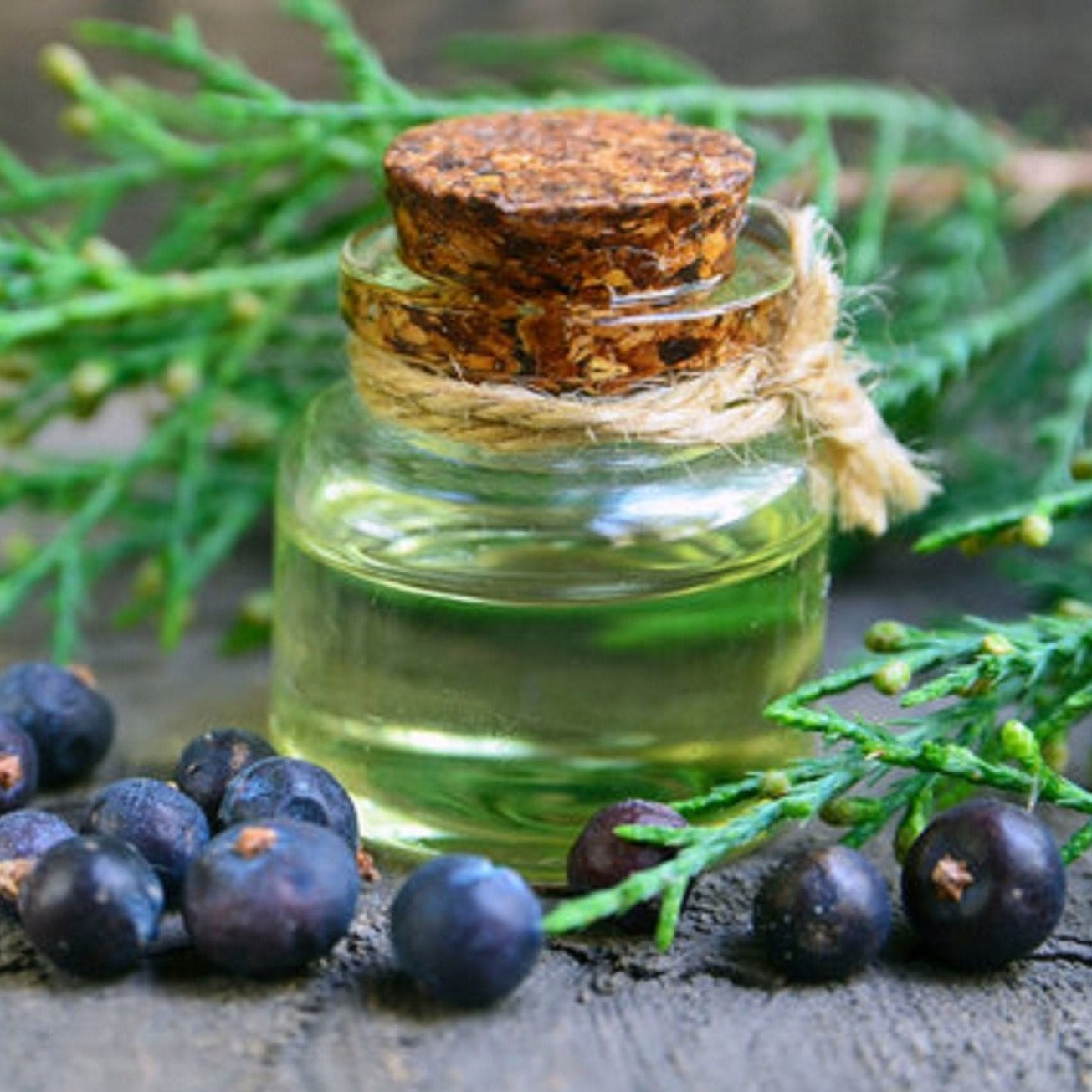 زيت أوراق العرعر - Juniperus Communis