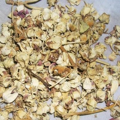Aak ka Phool - Aakh Phool -Safed Aak- Madar - Calotropis Procera | 1Kg, 5Kg - Wholesale price |