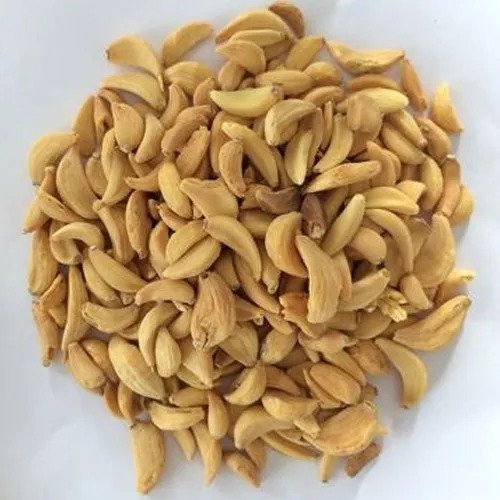 فص ثوم - لاهاسون - أليوم ساتيفوم