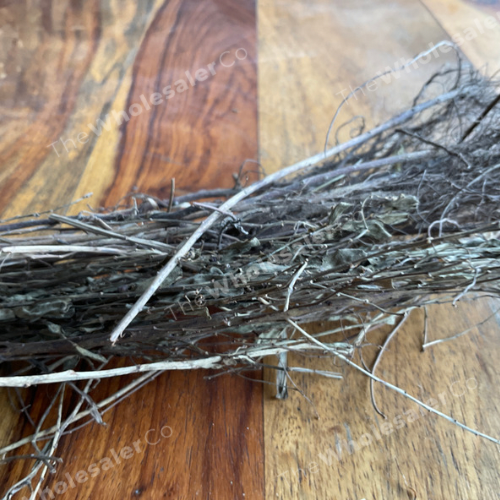 بهومي أملا - بهومي أملا - بهومي أولا - فيلانثوس نيروري