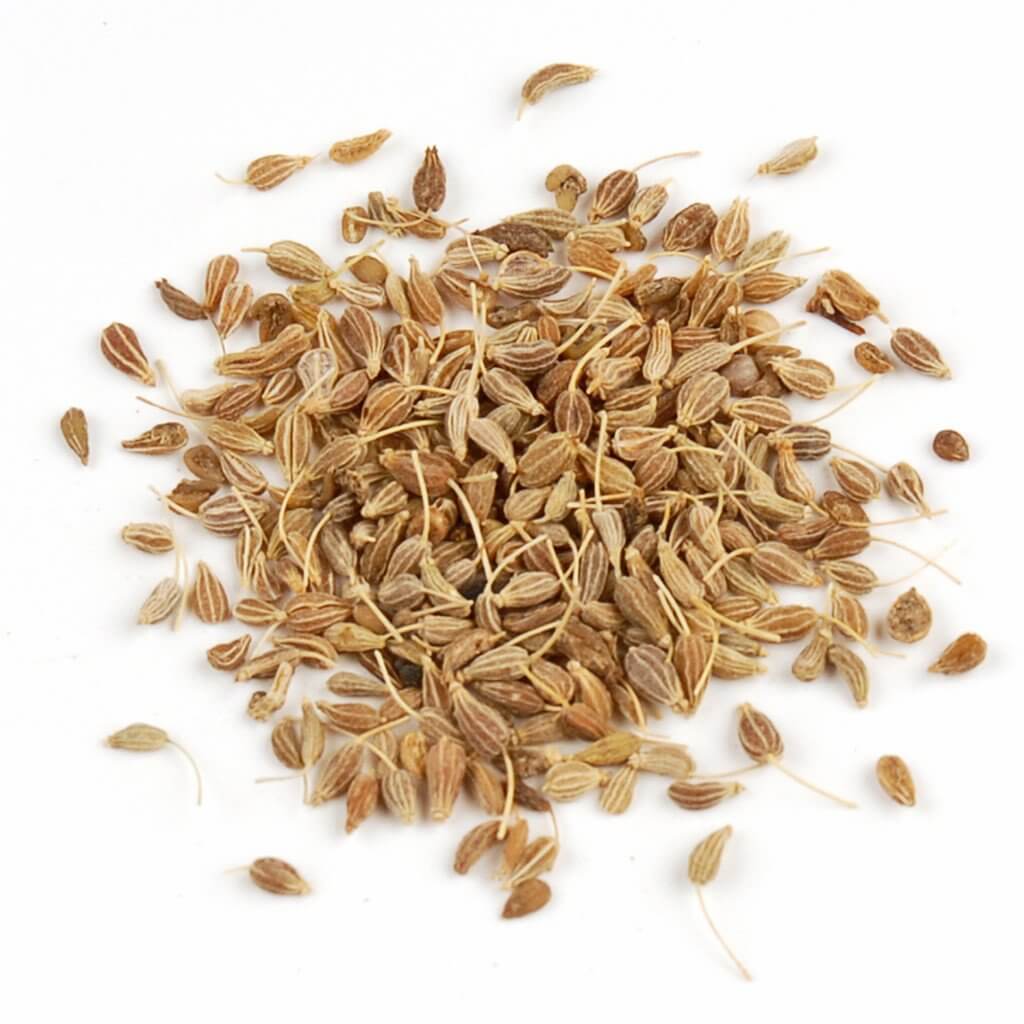 زيت بذور اليانسون - بيمبينيلا أنيسوم