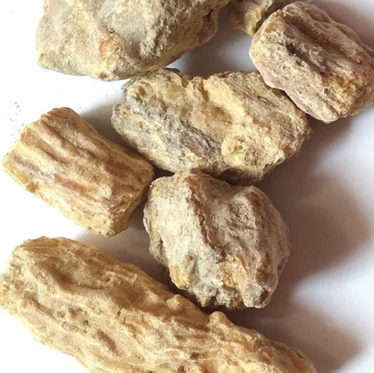 دمار غام - سال - شوريا روبوستا - رال بيلي جوند